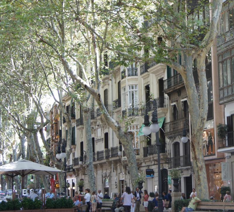 Rambla Palma Center酒店 外观 照片